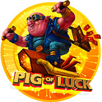 Pig of Luck